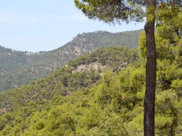 Valle de Leiva-Perdiz 2010